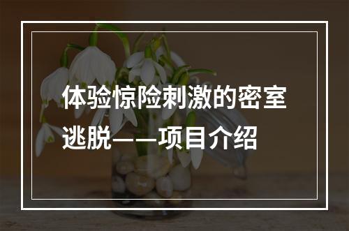 体验惊险刺激的密室逃脱——项目介绍