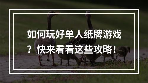 如何玩好单人纸牌游戏？快来看看这些攻略！