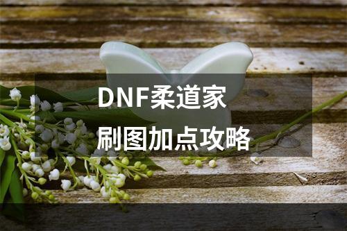 DNF柔道家刷图加点攻略