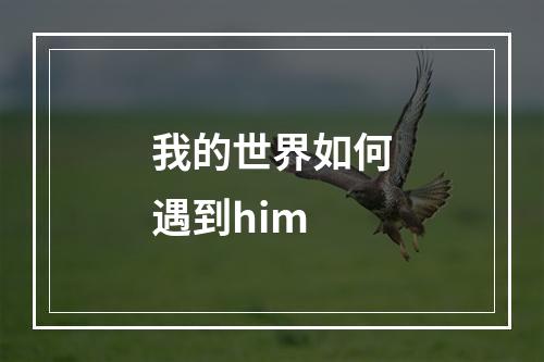 我的世界如何遇到him