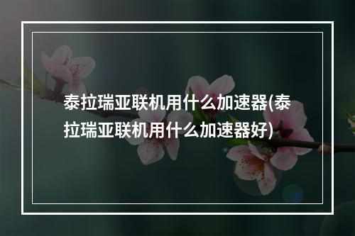 泰拉瑞亚联机用什么加速器(泰拉瑞亚联机用什么加速器好)