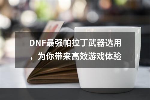 DNF最强帕拉丁武器选用，为你带来高效游戏体验