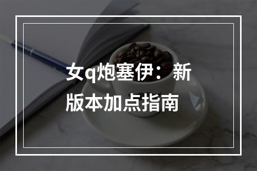 女q炮塞伊：新版本加点指南