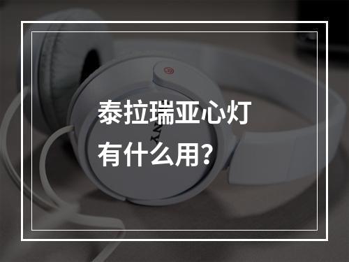 泰拉瑞亚心灯有什么用？