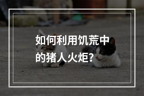 如何利用饥荒中的猪人火炬？