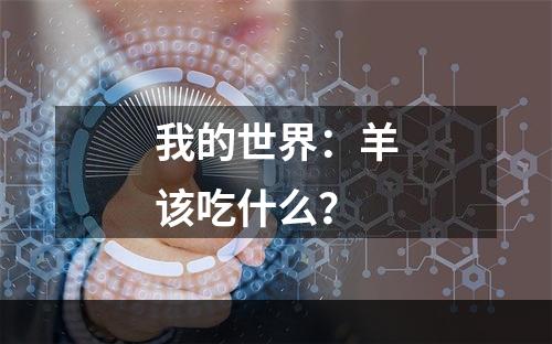 我的世界：羊该吃什么？