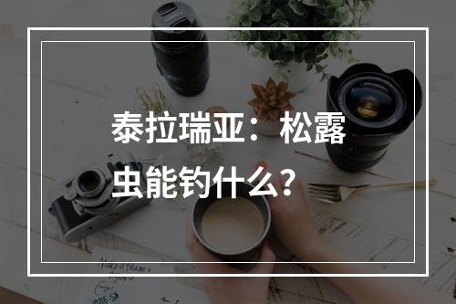 泰拉瑞亚：松露虫能钓什么？