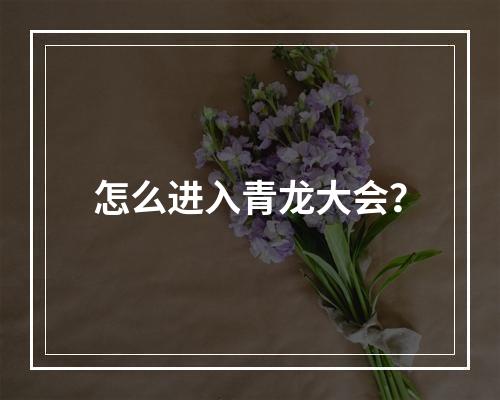 怎么进入青龙大会？