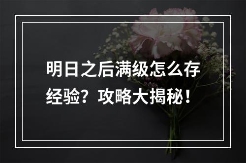 明日之后满级怎么存经验？攻略大揭秘！