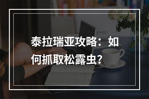 泰拉瑞亚攻略：如何抓取松露虫？