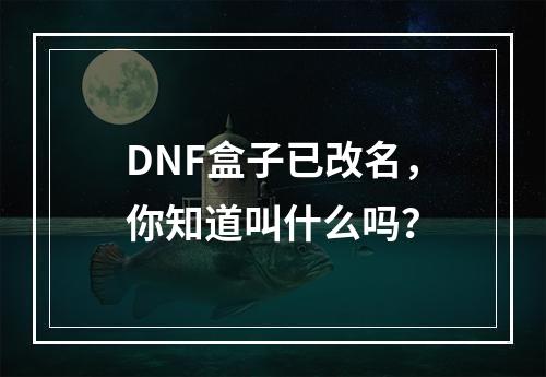 DNF盒子已改名，你知道叫什么吗？