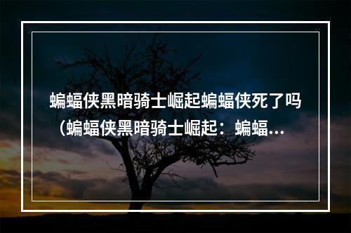 蝙蝠侠黑暗骑士崛起蝙蝠侠死了吗（蝙蝠侠黑暗骑士崛起：蝙蝠侠死了吗？）