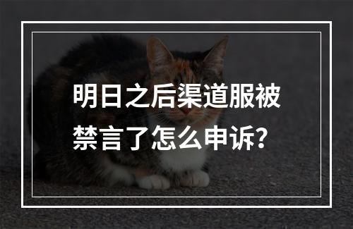 明日之后渠道服被禁言了怎么申诉？