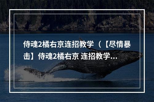 侍魂2橘右京连招教学（【尽情暴击】侍魂2橘右京 连招教学）