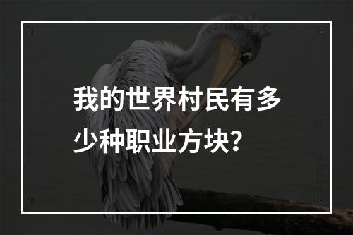 我的世界村民有多少种职业方块？