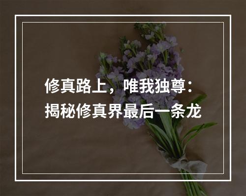 修真路上，唯我独尊：揭秘修真界最后一条龙