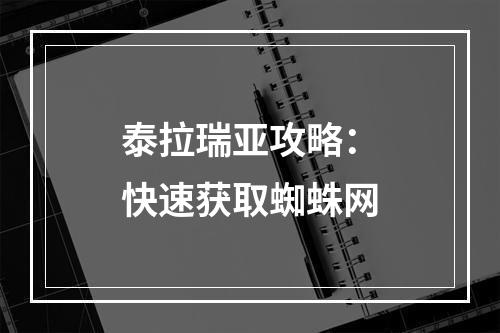 泰拉瑞亚攻略：快速获取蜘蛛网