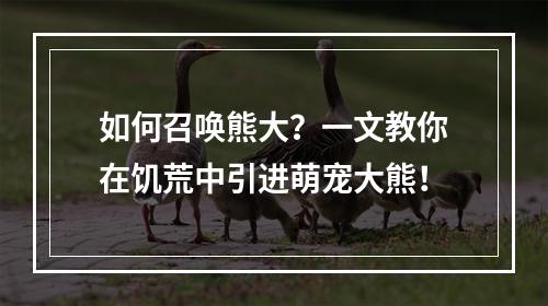 如何召唤熊大？一文教你在饥荒中引进萌宠大熊！