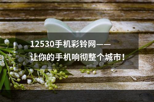 12530手机彩铃网——让你的手机响彻整个城市！