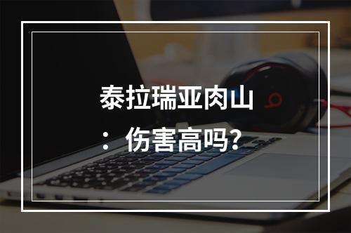 泰拉瑞亚肉山：伤害高吗？