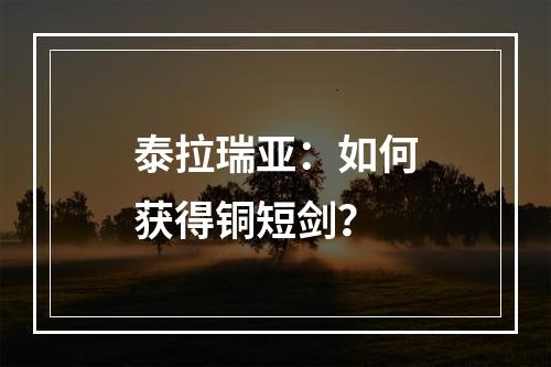 泰拉瑞亚：如何获得铜短剑？