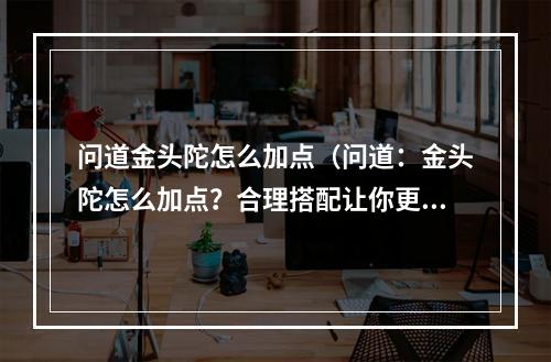 问道金头陀怎么加点（问道：金头陀怎么加点？合理搭配让你更加强大）