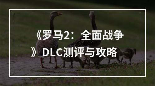 《罗马2：全面战争》DLC测评与攻略