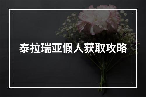 泰拉瑞亚假人获取攻略