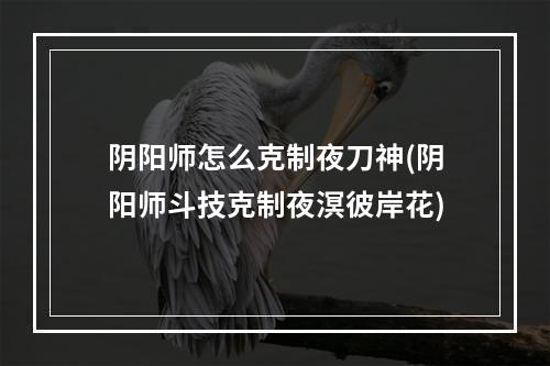 阴阳师怎么克制夜刀神(阴阳师斗技克制夜溟彼岸花)