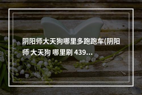 阴阳师大天狗哪里多跑跑车(阴阳师 大天狗 哪里刷 4399)