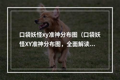 口袋妖怪xy准神分布图（口袋妖怪XY准神分布图，全面解读！）