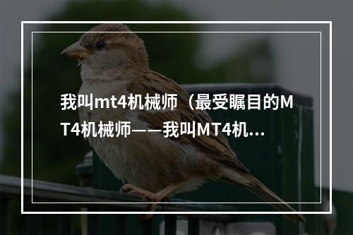 我叫mt4机械师（最受瞩目的MT4机械师——我叫MT4机械师攻略）