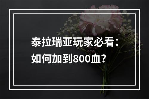 泰拉瑞亚玩家必看：如何加到800血？