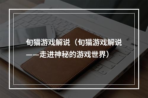 旬猫游戏解说（旬猫游戏解说——走进神秘的游戏世界）