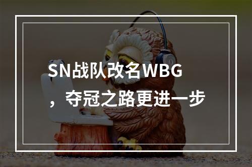 SN战队改名WBG，夺冠之路更进一步