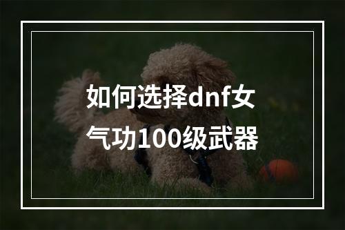 如何选择dnf女气功100级武器