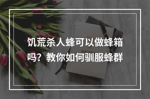 饥荒杀人蜂可以做蜂箱吗？教你如何驯服蜂群