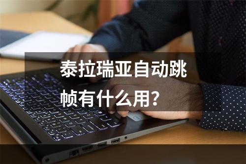 泰拉瑞亚自动跳帧有什么用？