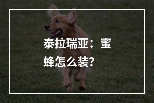 泰拉瑞亚：蜜蜂怎么装？