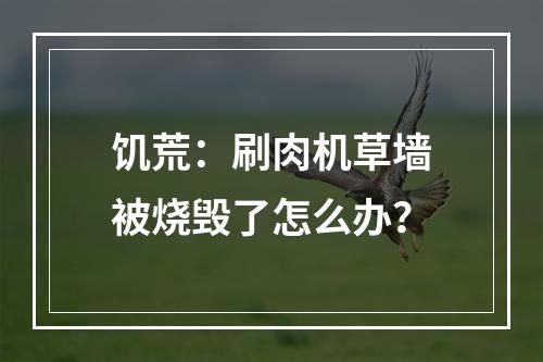 饥荒：刷肉机草墙被烧毁了怎么办？