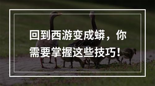 回到西游变成蟒，你需要掌握这些技巧！