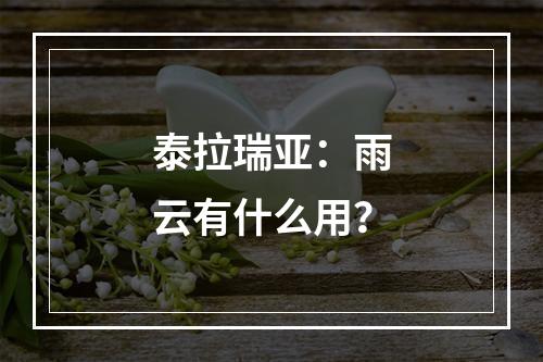 泰拉瑞亚：雨云有什么用？