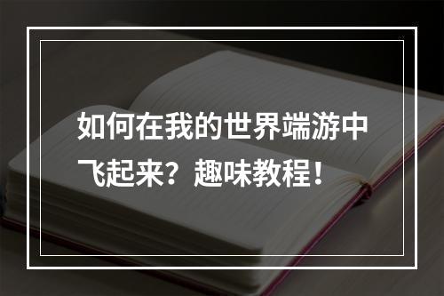 如何在我的世界端游中飞起来？趣味教程！