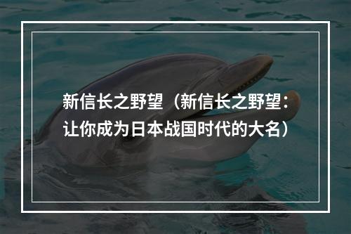 新信长之野望（新信长之野望：让你成为日本战国时代的大名）