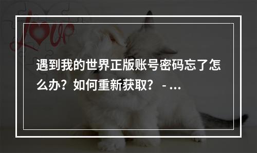 遇到我的世界正版账号密码忘了怎么办？如何重新获取？ - 我的世界账号密码遗忘处理攻略