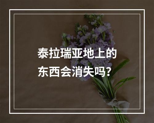 泰拉瑞亚地上的东西会消失吗？