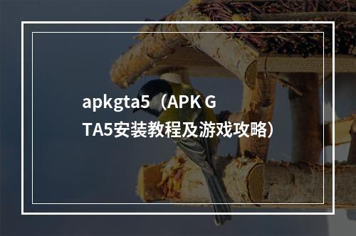 apkgta5（APK GTA5安装教程及游戏攻略）