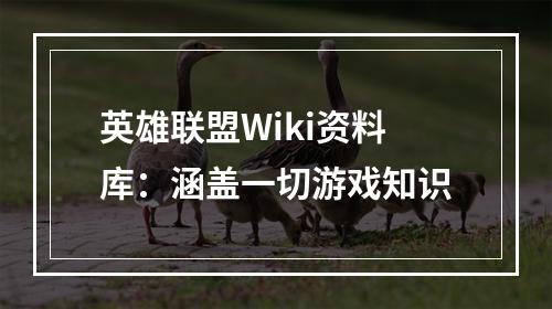 英雄联盟Wiki资料库：涵盖一切游戏知识