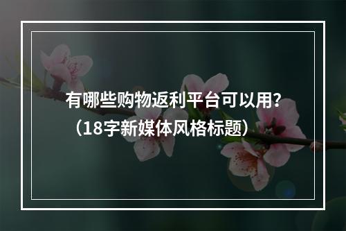 有哪些购物返利平台可以用？（18字新媒体风格标题）