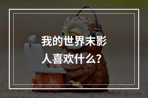 我的世界末影人喜欢什么？